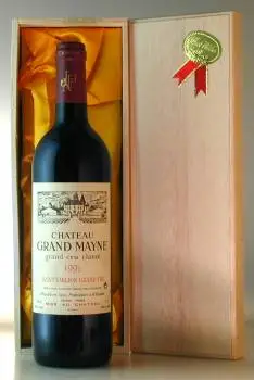 １９９５ シャトー・グラン・メイヌ Ch Grand Mayne 赤ワイン